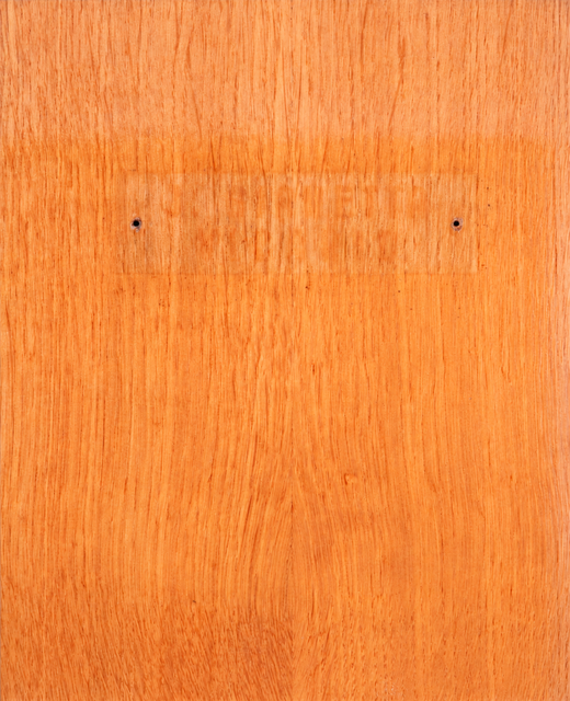 Entrance door (25 × 20 cm)